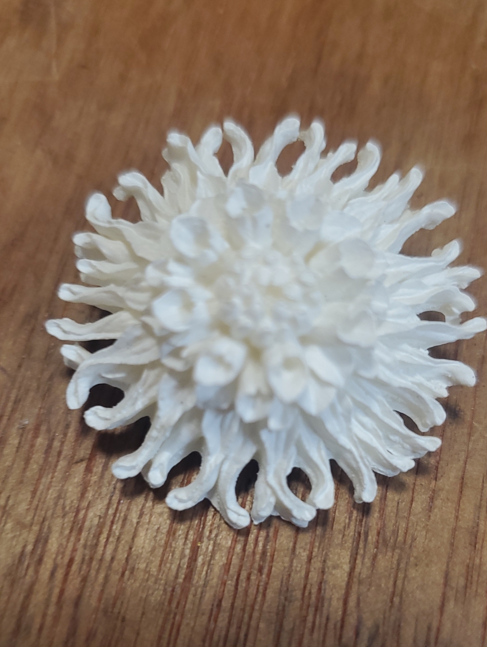 White Floral Celluloid Brooch D